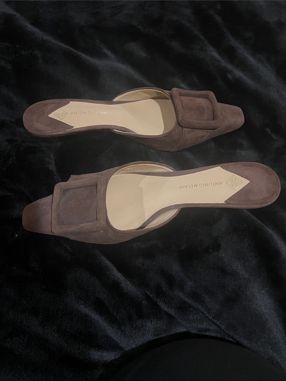 NWOT Antonio Melani Brown Suede Pointed Toe Mule Slides